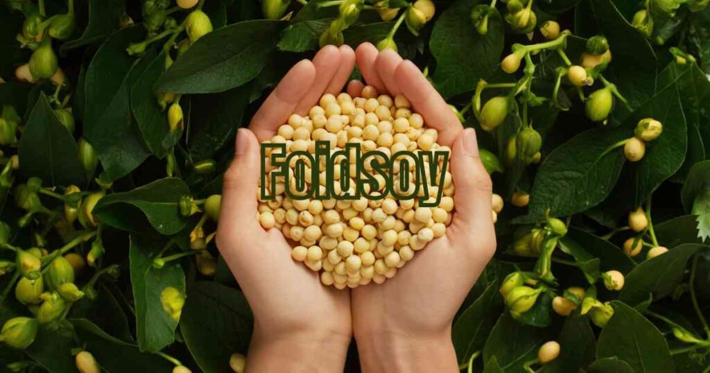 Why Foidsoy is the Superfood You Need in Your Diet