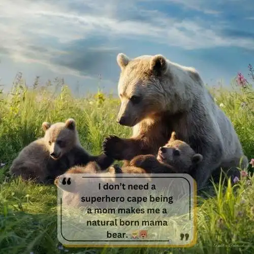 Best Mama Bear Quotes 